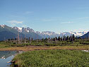 View from Animal Sanctuary