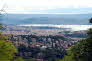 Trieste
