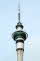 Sky Tower