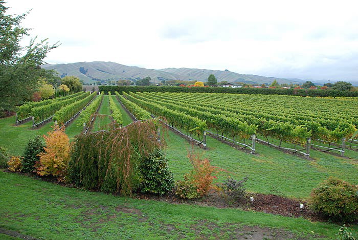 Blenheim