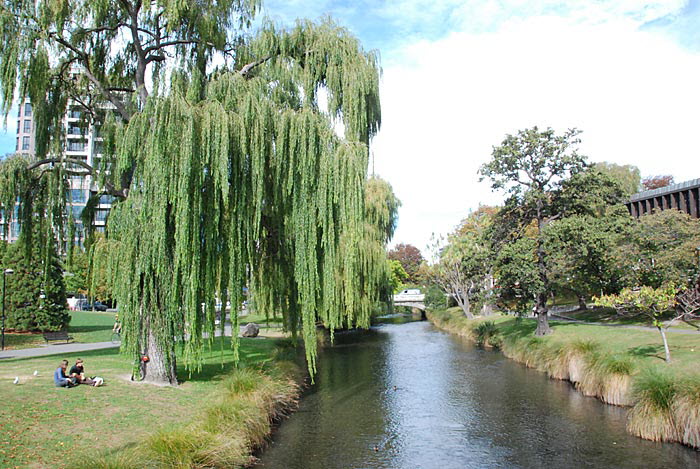 Christchurch -River Avon