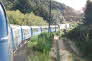 Tranz Alpine Railway