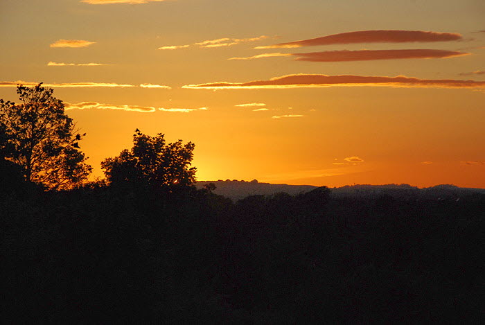 Danebury Hill
