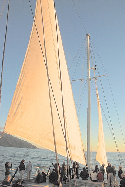 Navigator Sails