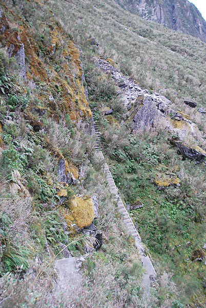Fox Glacier
