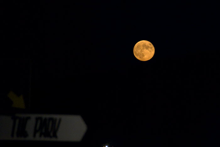Full Moon
