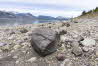 Grand Teton NP