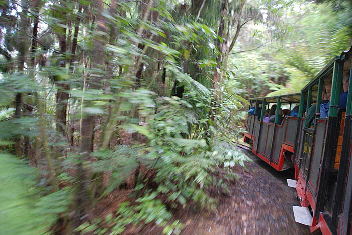 Driving Creek Railway