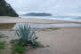 Hot Water Beach