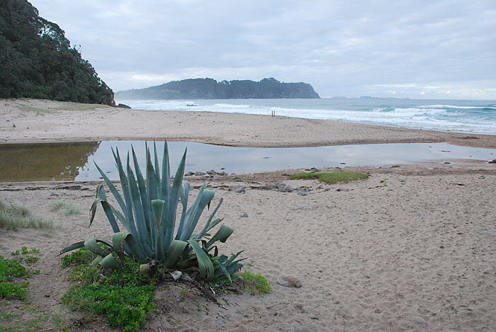 Hot Water Beach