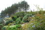 Kuaotunu Garden