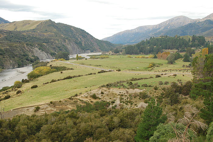 Hanmer Forest Region