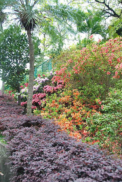 Botanical Gardens