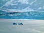 Hubbard Glacier P4/11