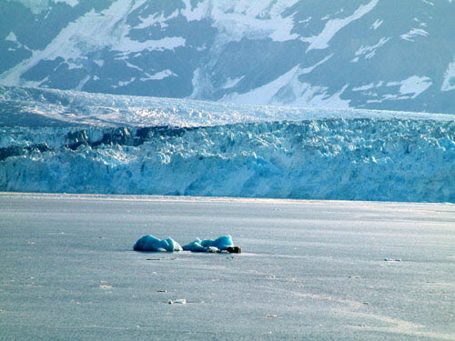 Hubbard Glacier P4/11