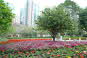 Kowloon Park