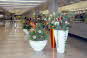 Kowloon Station