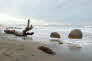 Moeraki Boulders