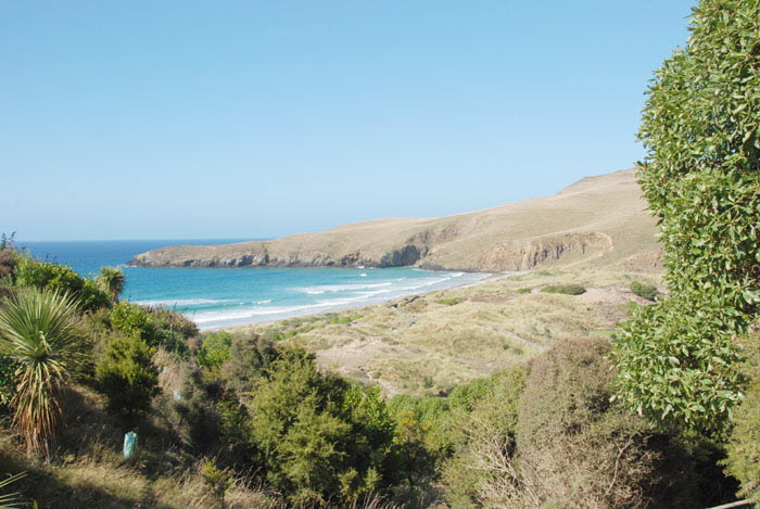 Otago - Penguin Place