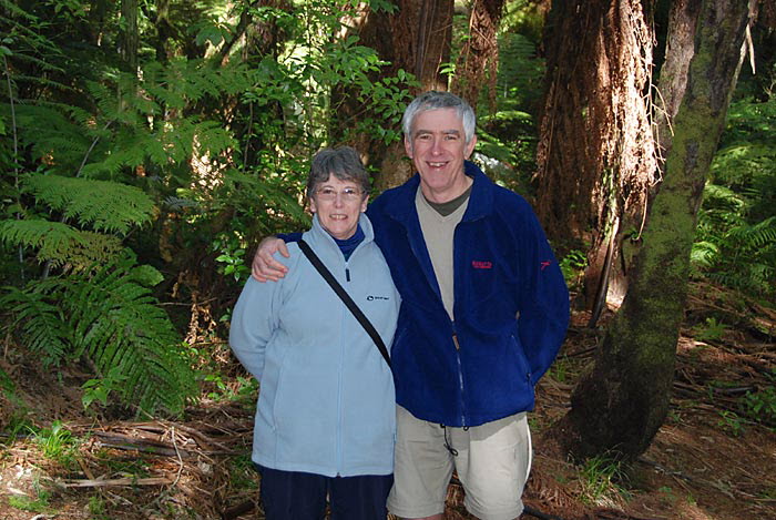 Redwoods
