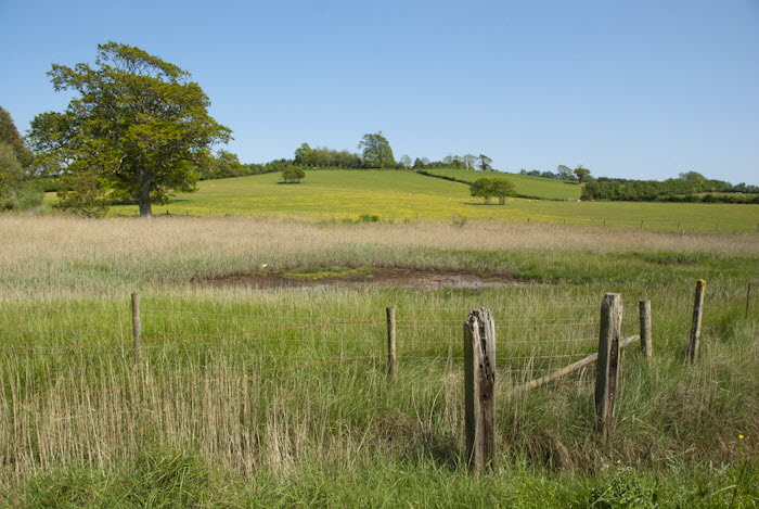 Fields