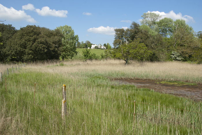 Fields