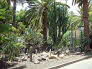 Santa Cruz - Parque Municipal Garcia Sanabria