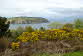 Cromarty Firth