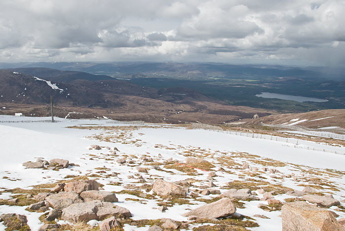Cairngorm Mountains