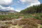 Loch Morlich