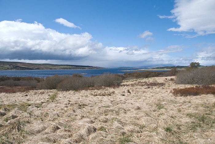 Loch Shin