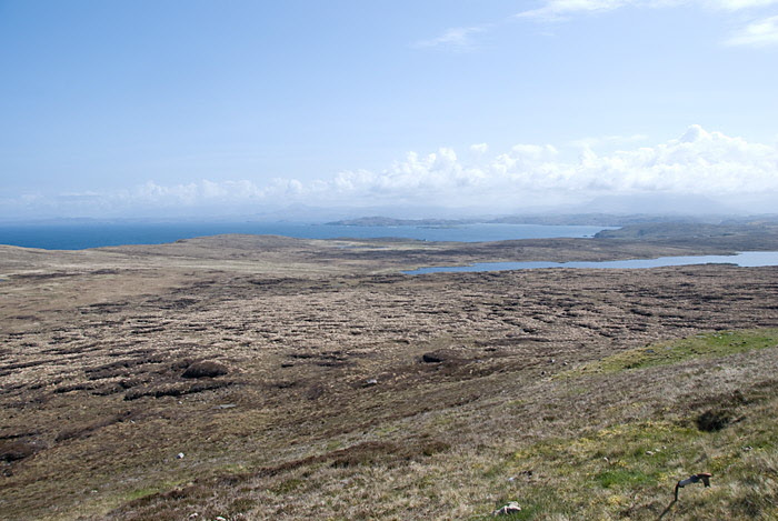 Looking East