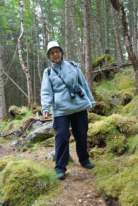Culag Woods, Lochinver