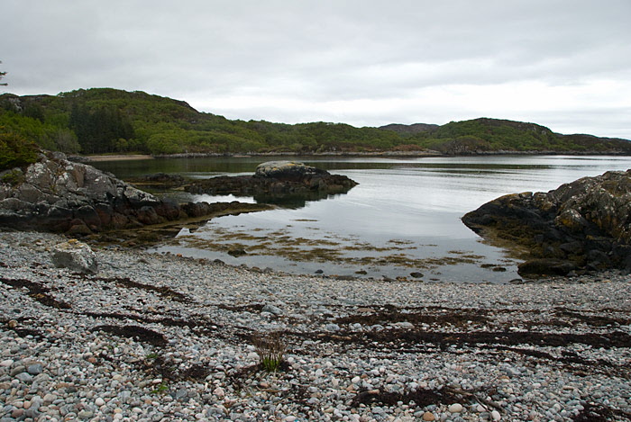 Culag Woods, Lochinver