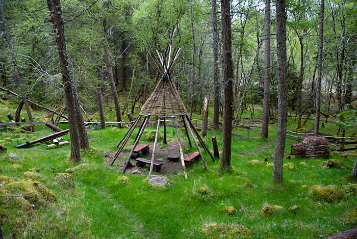 Culag Woods, Lochinver