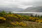 Ullapool