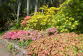 Inverewe Garden
