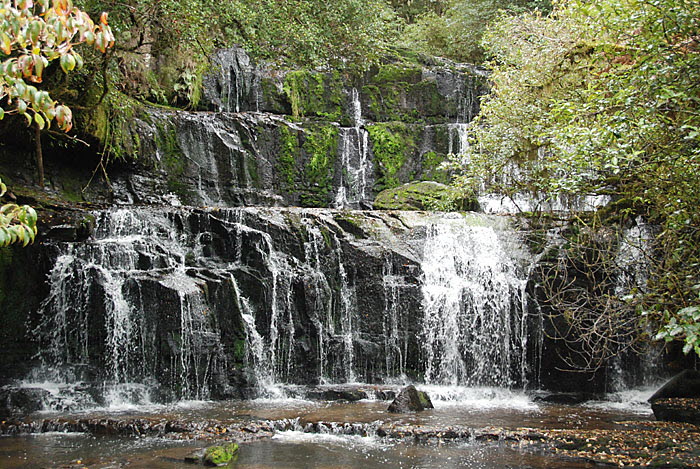 Southlands - Purakaunui Falls