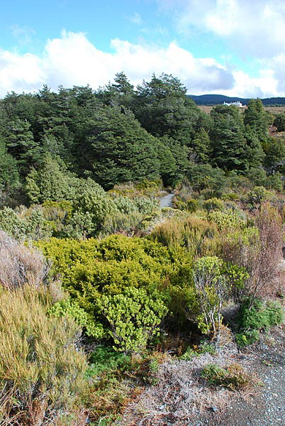 Taranaki Falls Walk