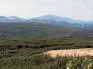 Denali National Park