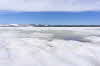 Yellowstone NP