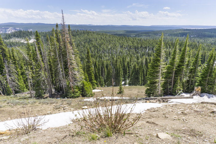 Yellowstone NP