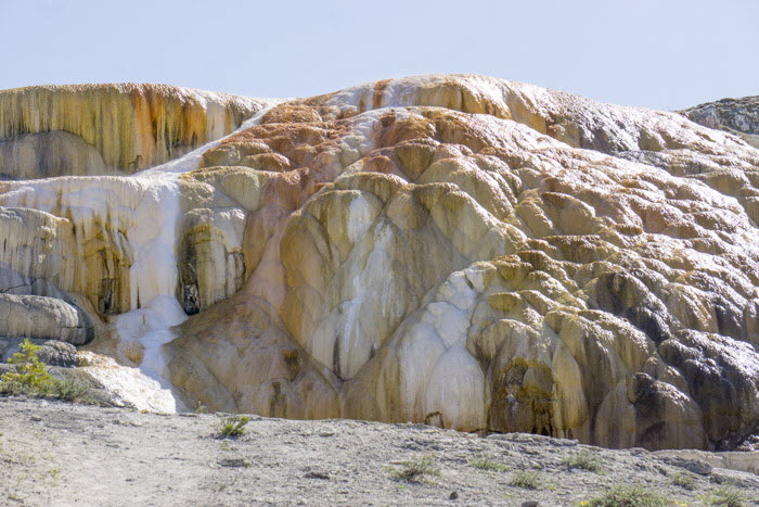 Yellowstone NP