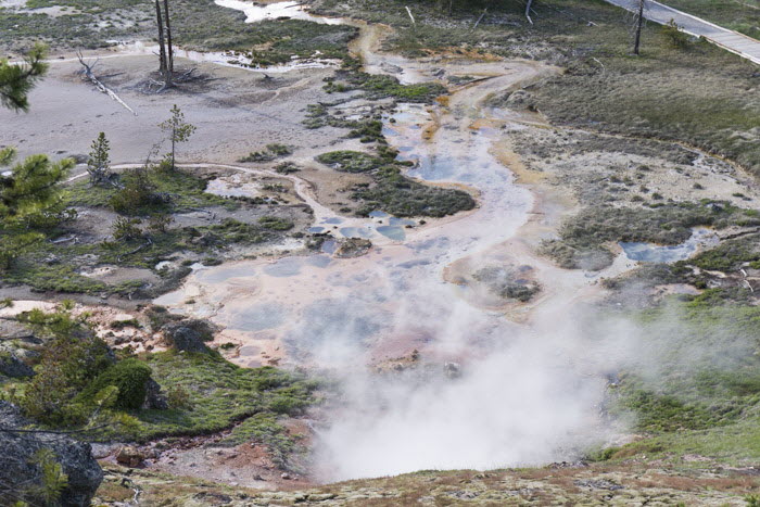 Yellowstone NP