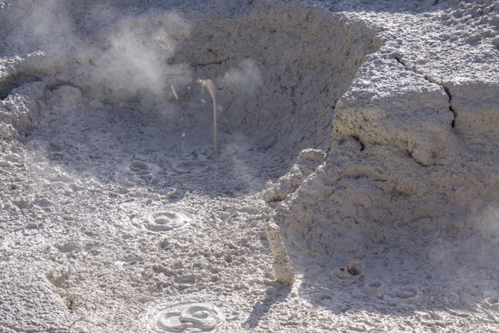 Yellowstone NP