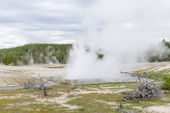 Yellowstone NP