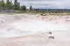 Yellowstone NP