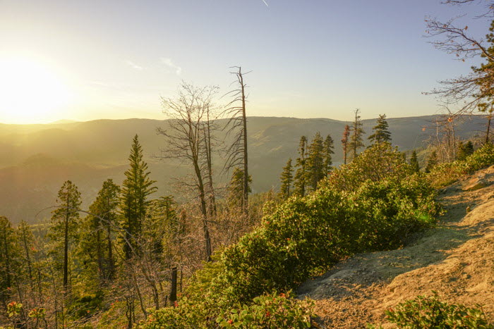 Yosemite NP
