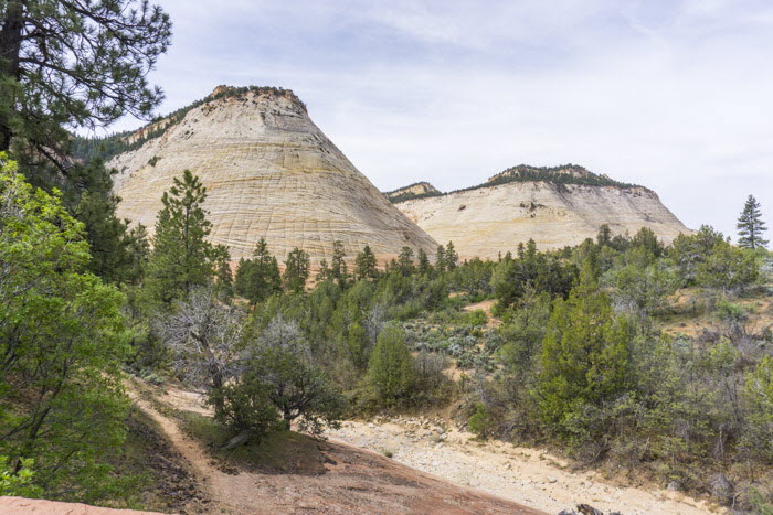 Zion NP