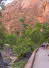 Zion NP